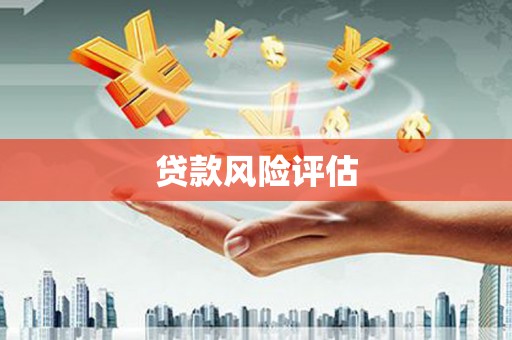 舒兰贷款风险评估