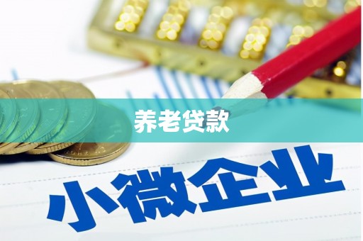 舒兰养老贷款