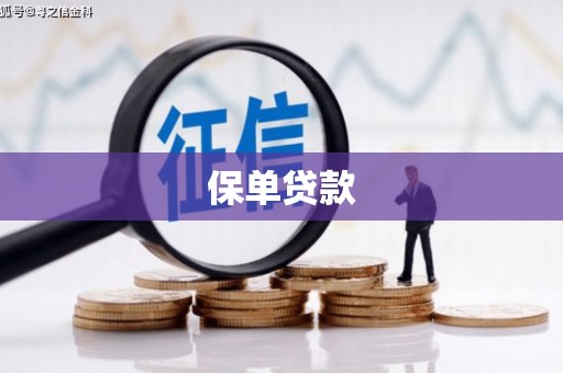 舒兰保单贷款