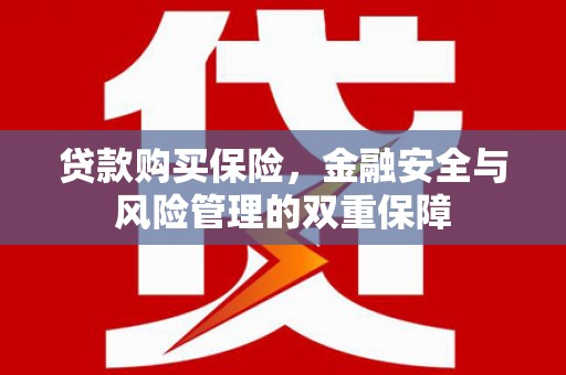 舒兰贷款购买保险，金融安全与风险管理的双重保障