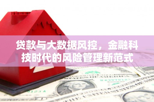 舒兰贷款与大数据风控，金融科技时代的风险管理新范式