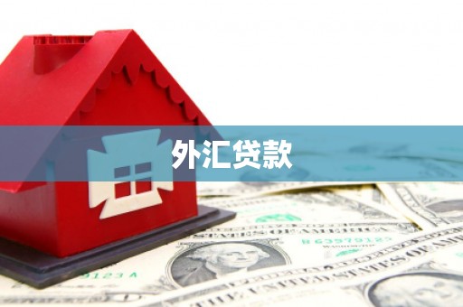 舒兰外汇贷款