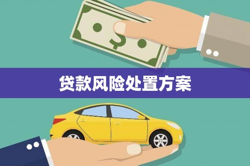 舒兰贷款风险处置方案