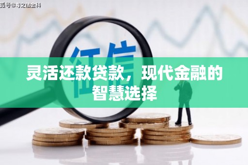 舒兰灵活还款贷款，现代金融的智慧选择