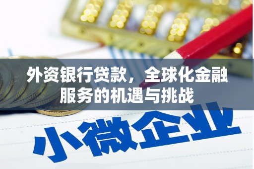 舒兰外资银行贷款，全球化金融服务的机遇与挑战