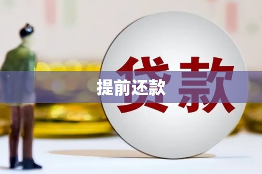 舒兰提前还款