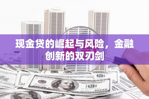 舒兰现金贷的崛起与风险，金融创新的双刃剑