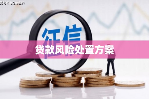 舒兰贷款风险处置方案