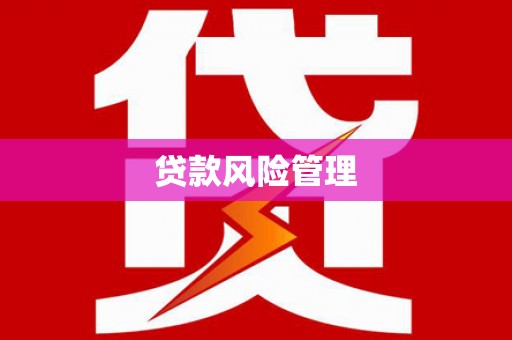 舒兰贷款风险管理