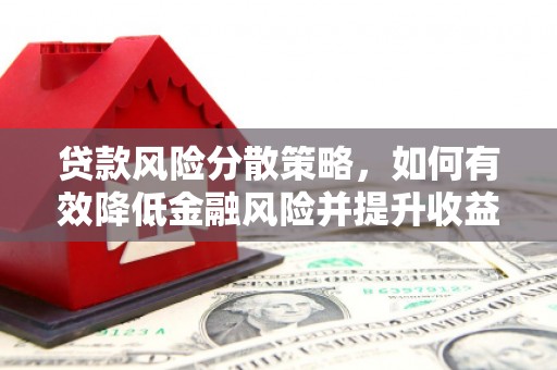 舒兰贷款风险分散策略，如何有效降低金融风险并提升收益