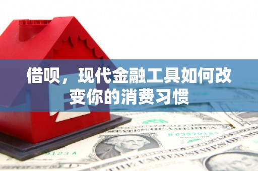 舒兰借呗，现代金融工具如何改变你的消费习惯