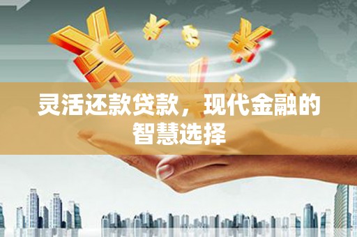 舒兰灵活还款贷款，现代金融的智慧选择