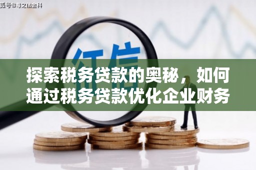 舒兰探索税务贷款的奥秘，如何通过税务贷款优化企业财务