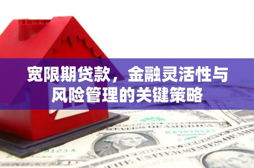 舒兰宽限期贷款，金融灵活性与风险管理的关键策略
