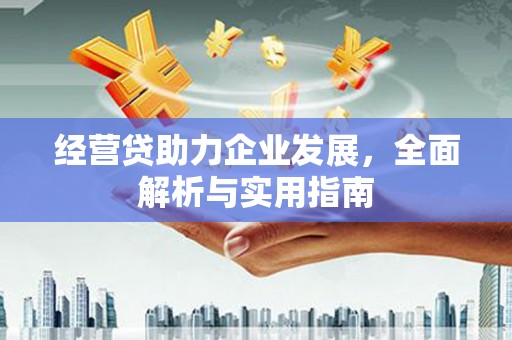 舒兰经营贷助力企业发展，全面解析与实用指南
