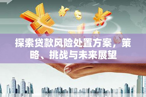 舒兰探索贷款风险处置方案，策略、挑战与未来展望