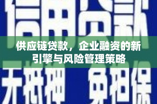 舒兰供应链贷款，企业融资的新引擎与风险管理策略