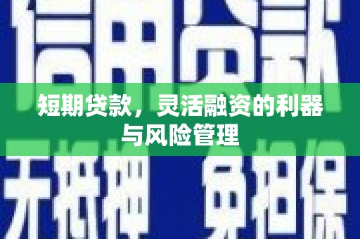舒兰短期贷款，灵活融资的利器与风险管理