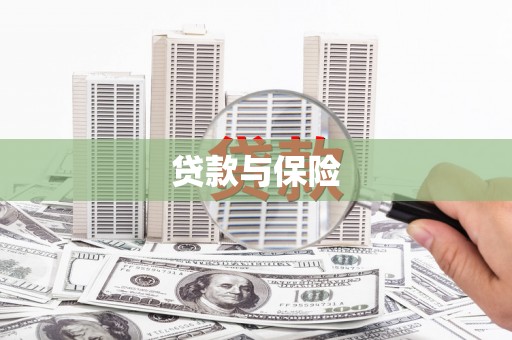 舒兰贷款与保险