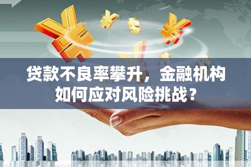 舒兰贷款不良率攀升，金融机构如何应对风险挑战？