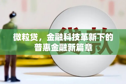 舒兰微粒贷，金融科技革新下的普惠金融新篇章