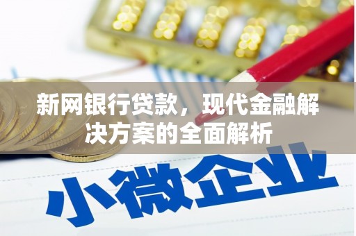 舒兰新网银行贷款，现代金融解决方案的全面解析