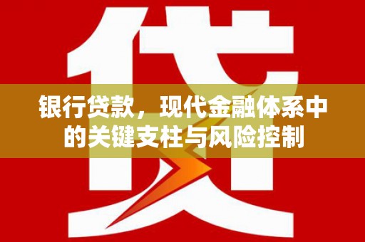 舒兰银行贷款，现代金融体系中的关键支柱与风险控制