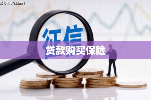 舒兰贷款购买保险