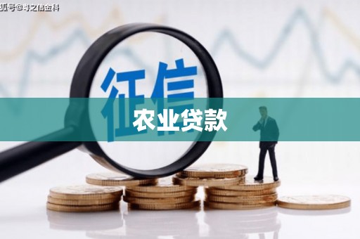 舒兰农业贷款