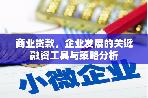 舒兰商业贷款，企业发展的关键融资工具与策略分析