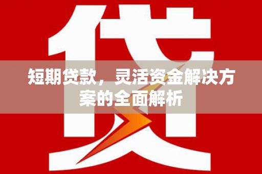 舒兰短期贷款，灵活资金解决方案的全面解析
