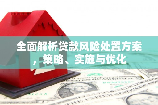 舒兰全面解析贷款风险处置方案，策略、实施与优化