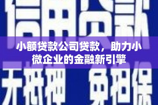 舒兰小额贷款公司贷款，助力小微企业的金融新引擎