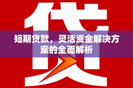 舒兰短期贷款，灵活资金解决方案的全面解析