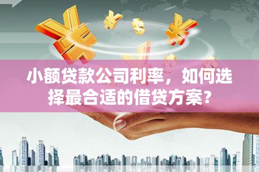舒兰小额贷款公司利率，如何选择最合适的借贷方案？