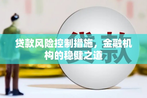 舒兰贷款风险控制措施，金融机构的稳健之道