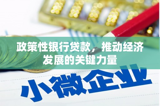 舒兰政策性银行贷款，推动经济发展的关键力量