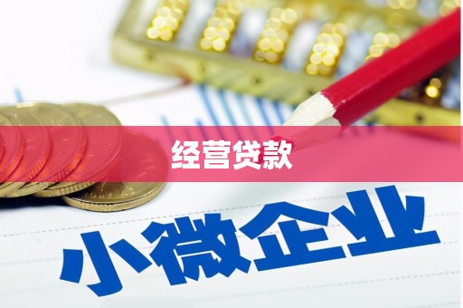 舒兰经营贷款