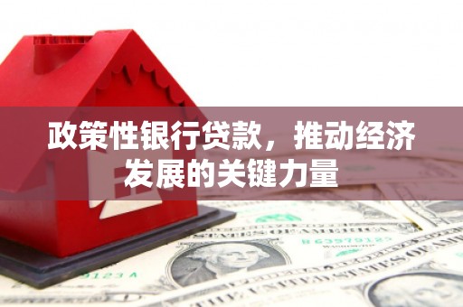 舒兰政策性银行贷款，推动经济发展的关键力量