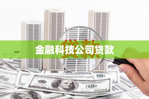 舒兰金融科技公司贷款