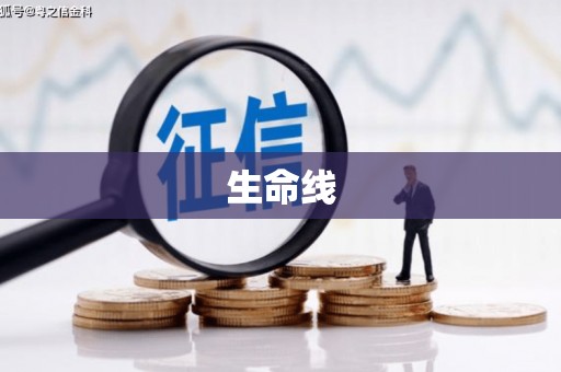 舒兰生命线