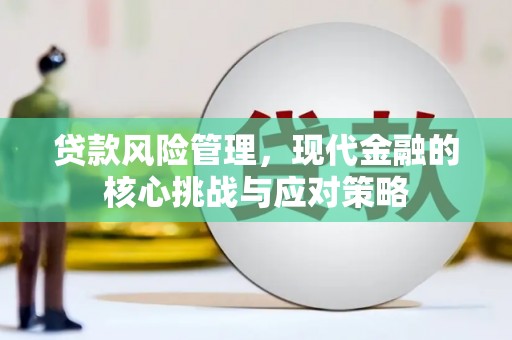 舒兰贷款风险管理，现代金融的核心挑战与应对策略