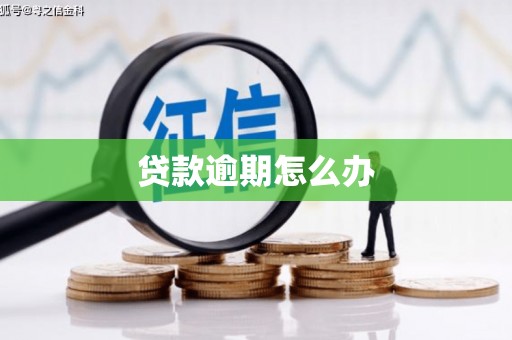 舒兰贷款逾期怎么办