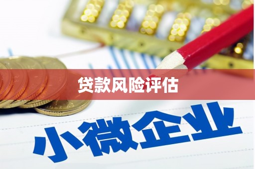 舒兰贷款风险评估