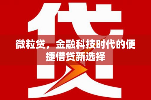 舒兰微粒贷，金融科技时代的便捷借贷新选择