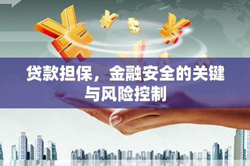 舒兰贷款担保，金融安全的关键与风险控制