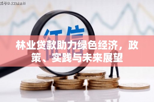 舒兰林业贷款助力绿色经济，政策、实践与未来展望