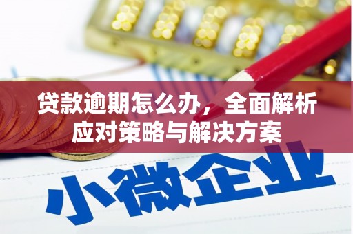 舒兰贷款逾期怎么办，全面解析应对策略与解决方案