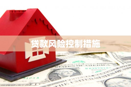 舒兰贷款风险控制措施