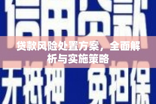 舒兰贷款风险处置方案，全面解析与实施策略